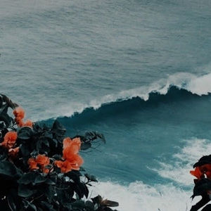 Meet your Posher, Bosline